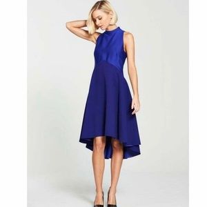 Ted Baker Kandal High Neck Dropped Hem Dress